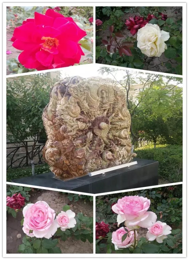 網(wǎng)勢科技6周歲生日快樂！